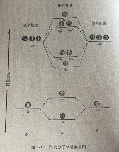 氮分子和氧分子的分子轨道