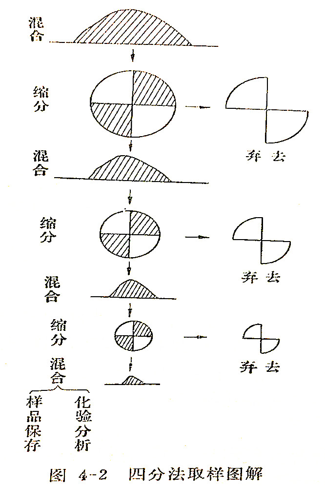 四分法取样的示意图图片