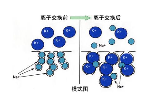 影响离子