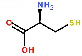 L-半胱氨酸分子式结构图