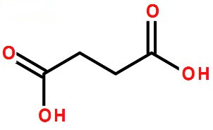 丁二酸化学式结构图