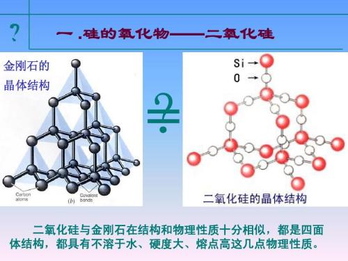 硅的化合物