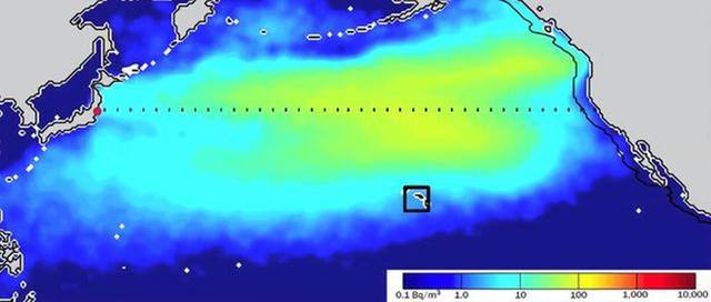 海水中放射性元素生物地球化学收支平衡的计算