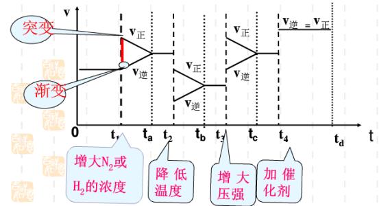 化学反应速率及其表示方法