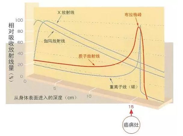 质子的自递作用与调平效应