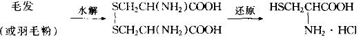 L-半胱氨酸生产反应