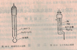 玻璃电极和甘汞电极示意图