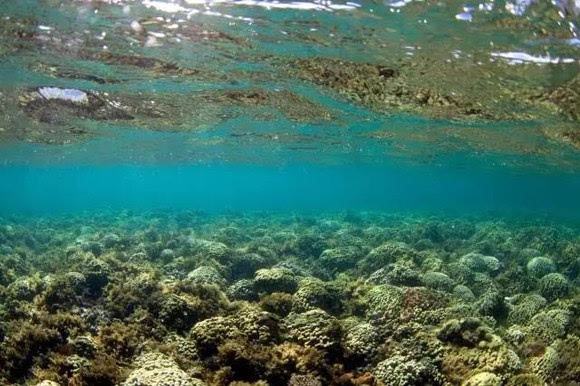 原始海洋海水