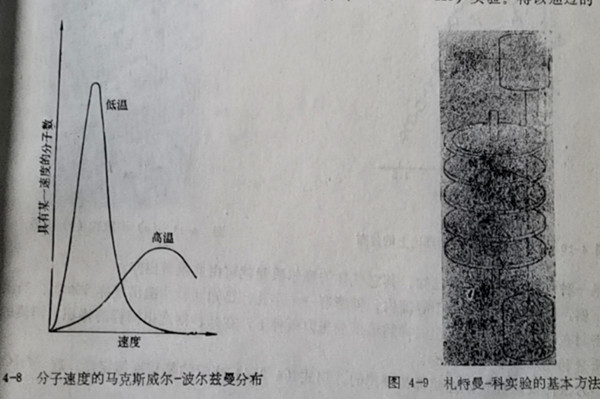 札特曼-科实验的基本方法