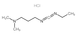 1-乙基-(3-二甲基氨基丙基)碳二亚胺盐酸盐