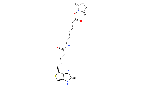 N-琥珀酰亚氨基6-生物素氨己酸