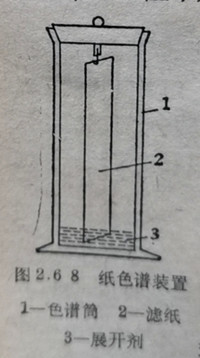 纸色谱装置