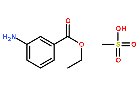 3-乙氧酰基苯胺甲磺酸盐