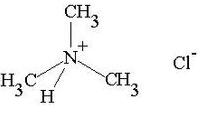 盐酸三甲胺化学式结构图