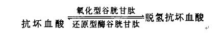 反应式