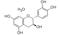 儿茶素化学式结构图