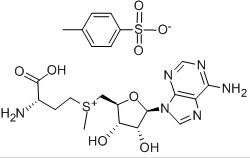  S-腺甘基蛋氨酸分子式