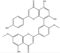 银杏素化学式结构图