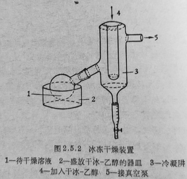 冰冻干燥装置